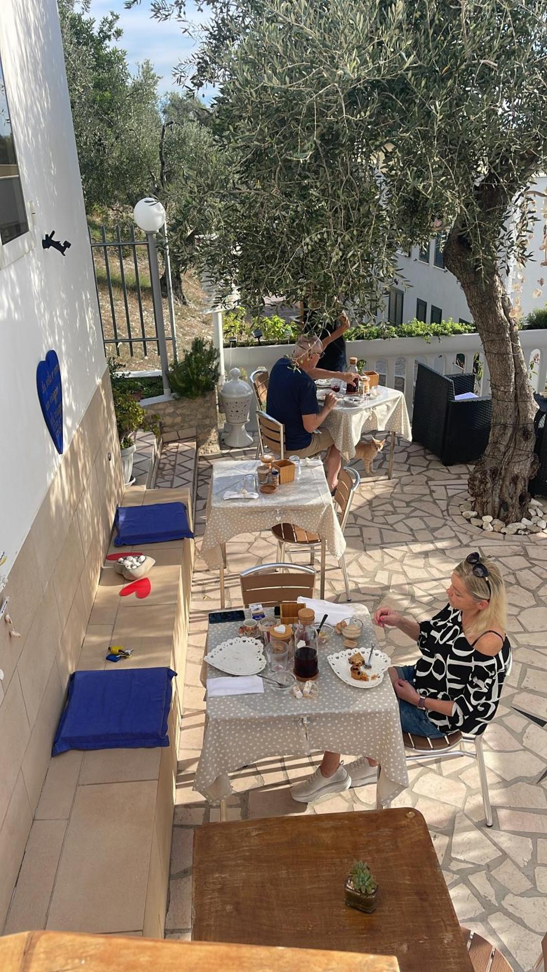 B&B Il Giardino Stellato Vieste Exteriér fotografie