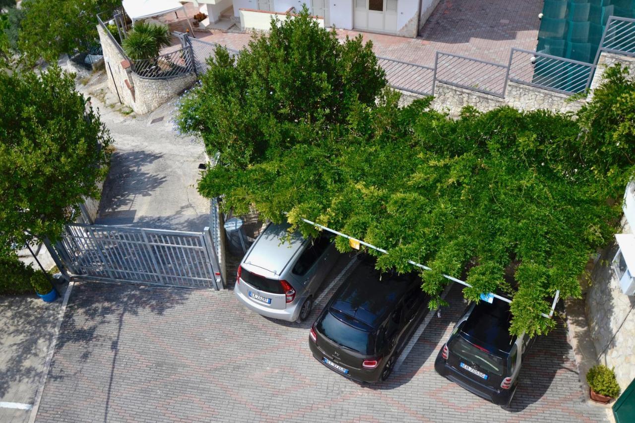 B&B Il Giardino Stellato Vieste Exteriér fotografie